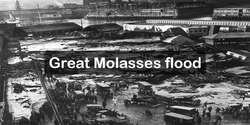 molasses_flood_feedcrisp-