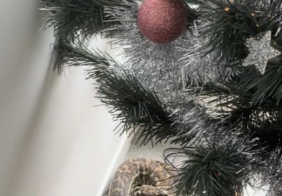 snake in her Christmas tree